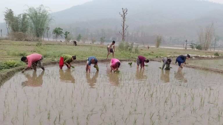 आत्मनिर्भरताका लागि कृषि उत्पादनमा जोड दिँदै नेकपा मकवानपुर