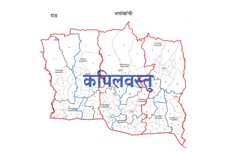 ग्यास लिक भएर आगलागी हुँदा दाजुबहिनीको मृत्यु