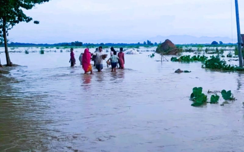 झापाको माइखोला बस्तीमा बाढी पस्दा २२ परिवार विस्थापित