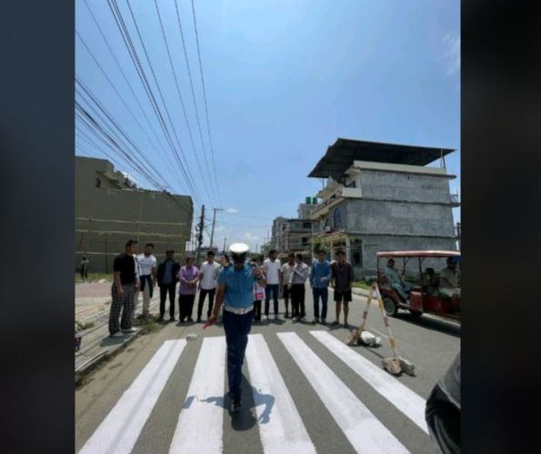 पहिलो पाईलाले बनायो बेलबारीमा जेब्रा क्रस