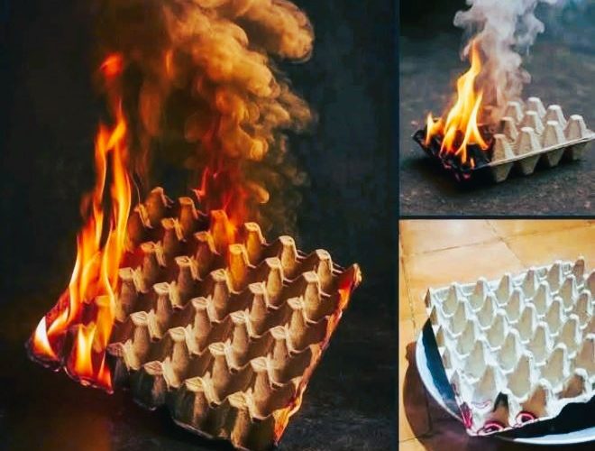 अण्डाको क्रेड बक्स बाल्दा यस्तो असर हुन सक्छ; एक पटक पढ्नुहोस्!