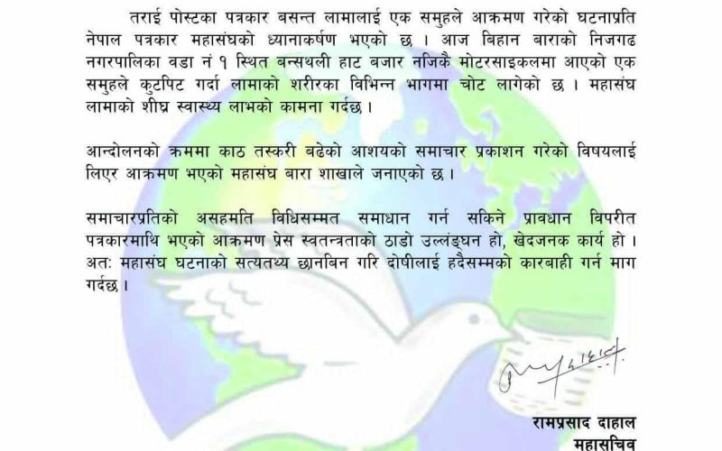 पत्रकार वसन्त लामामाथि आक्रमण, नेपाल पत्रकार महासंघद्वारा दोषीलाई कारबाही गर्न माग