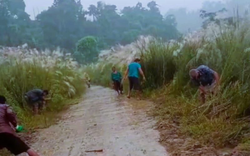 मनहरी गाउँपालिका ठाडोखोला दोबानमा आजदेखि बाटो सरसफाई अभियान सुरु