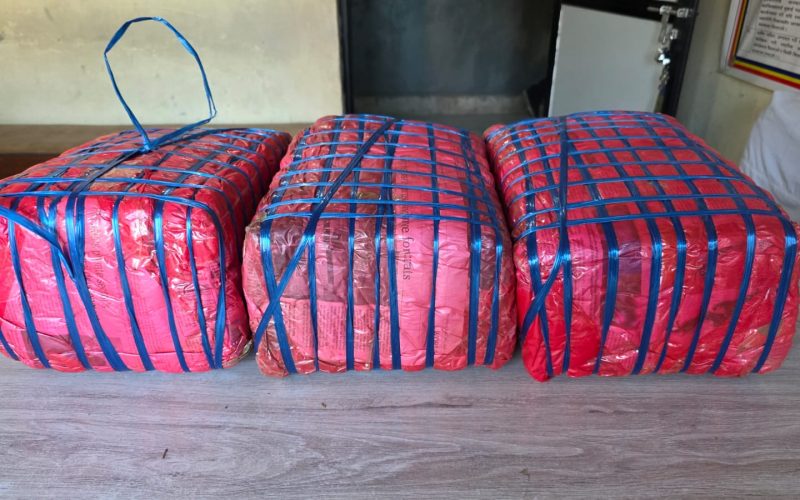 हेटौंडामा २२ किलोभन्दा बढी गाँजा सहित महिला पक्राउ