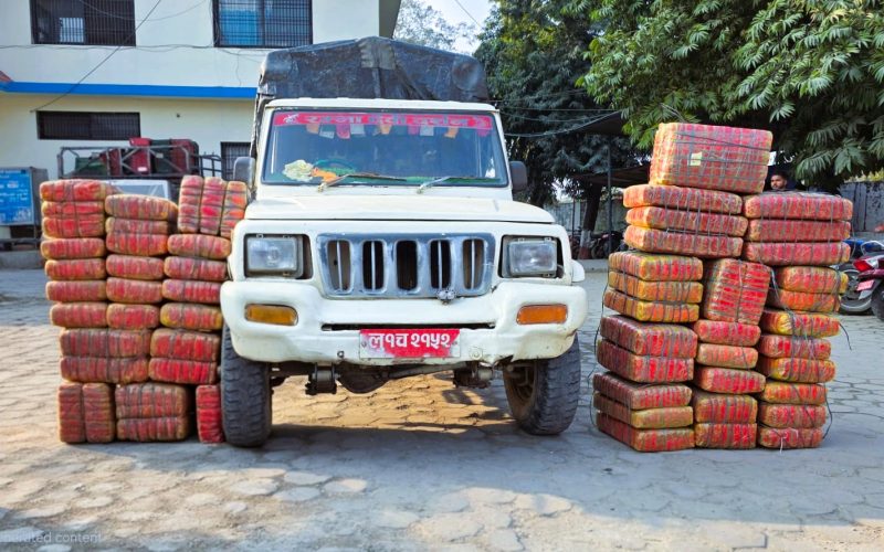 ४३८ किलो ४३ ग्राम गाँजा सहित दुई जना पक्राउ