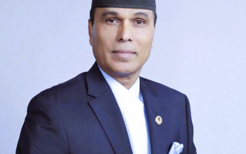 सार्वजनिक खरिद प्रणाली ह्याक प्रकरणमा पूर्वमन्त्री विक्रम पाण्डे पक्राउ