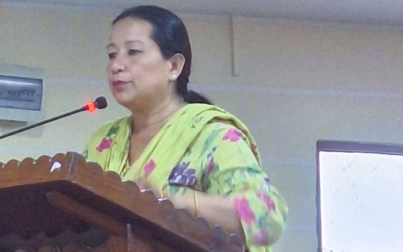दलित महिला सशक्तिकरण विधेयकमा जोड: हेटौंडाकी मेयर मिना कुमारी लामाले समानता र विश्वासको खाँचो औंल्याइन्