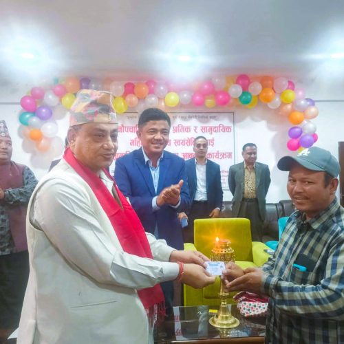 होमपेज