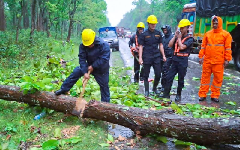 हावाहुरी र वर्षाले चितवनमा रुख ढलेर सडक अवरुद्ध, प्रहरीको सक्रियतामा आवागमन पुनः सञ्चालन