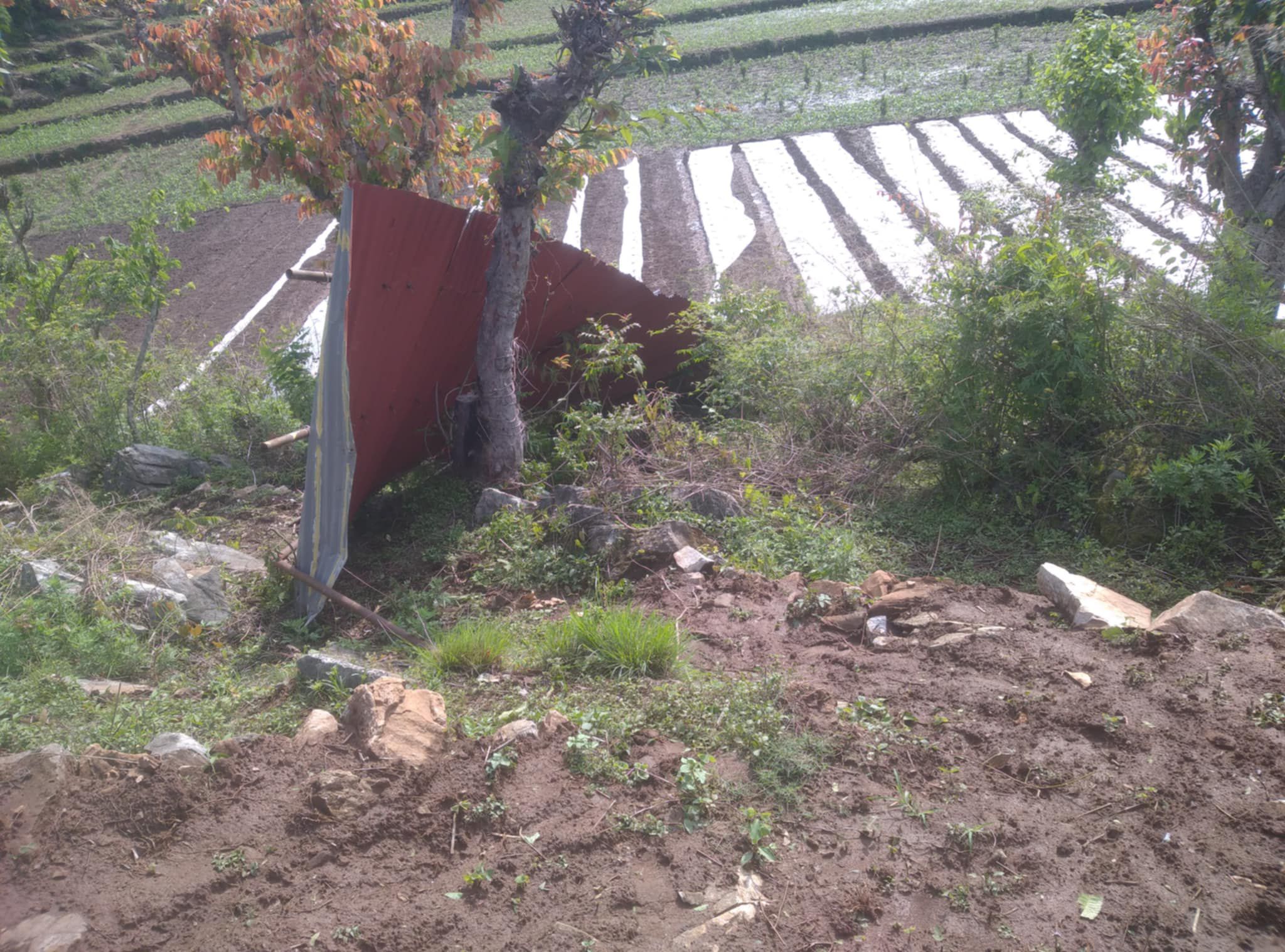हावाहुरीले उडायो विद्यालयको छाना, मकवानपुरको लिक्चेमा पठनपाठन प्रभावित