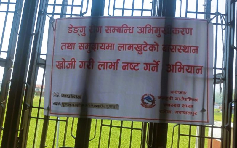 मनहरीमा डेङ्गु नियन्त्रण अभियान सञ्चालन, लामखुट्टेको बासस्थान नष्ट गर्न समुदायलाई आग्रह