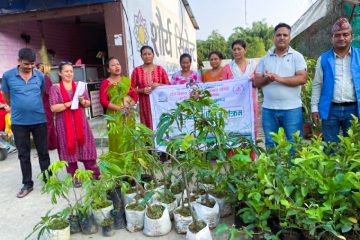 हेटौंडा–११ मा जिल्ला स्तरीय भलिबल प्रतियोगिता सुरु, १३ टोलीबीच प्रतिस्पर्धा हुने