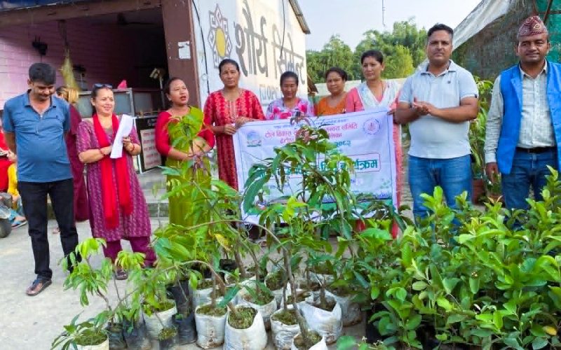 १० प्लास्टिक बोतल बराबर १ फलफूलको बिरुवा : हेटौंडामा वातावरण संरक्षण र हरियाली प्रवर्द्धन अभियान
