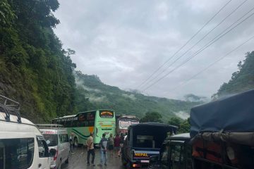 मेची भन्सारबाट चिया निर्यातमा उल्लेख्य वृद्धि, अलैँची निर्यातमा भने गिरावट