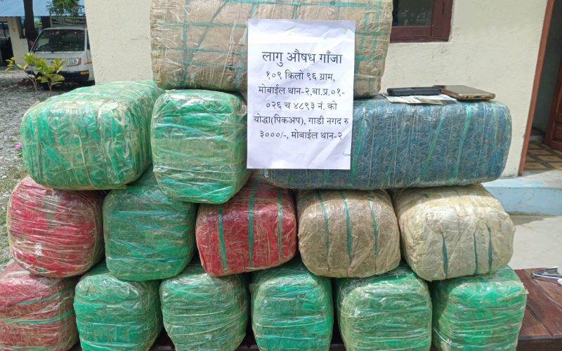 मकवानपुरमा १०९ किलोभन्दा बढी गाँजासहित दुई जना पक्राउ, पिकअप गाडी समेत नियन्त्रणमा