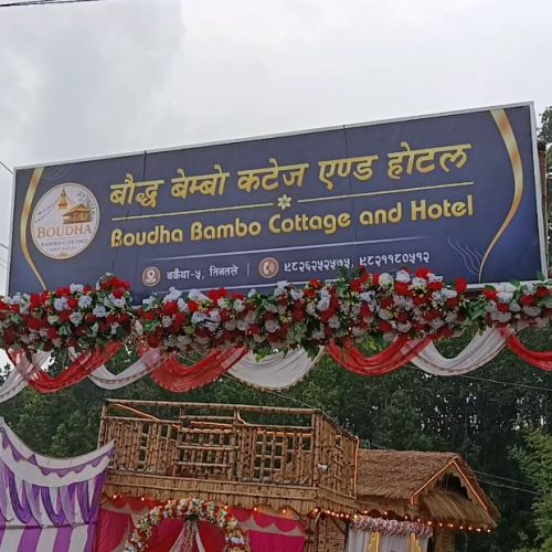 होमपेज