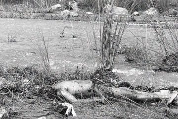 ‘सुरक्षित हेटौँडा र लागू औषध नियन्त्रित हेटौँडा’ बनाउन सबैको सहकार्य आवश्यक : वडाध्यक्ष नवीन सिग्देल