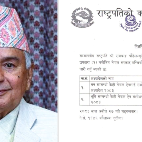 होमपेज